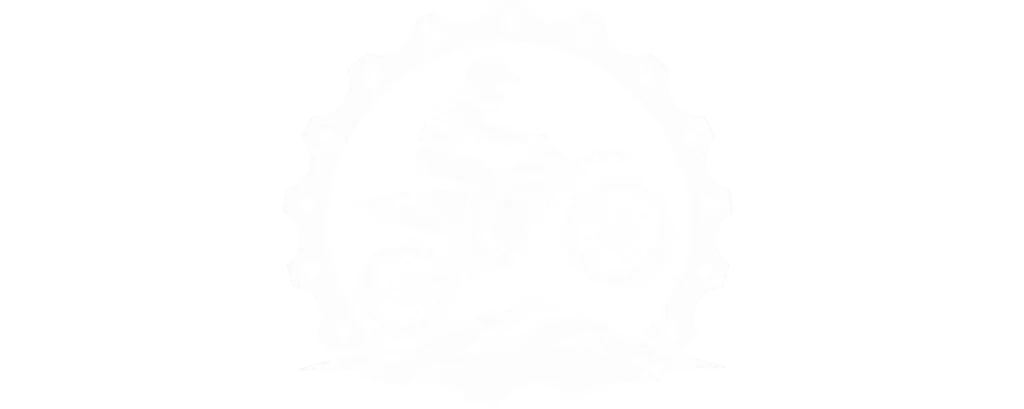 Vietnamese Motorbike Tours